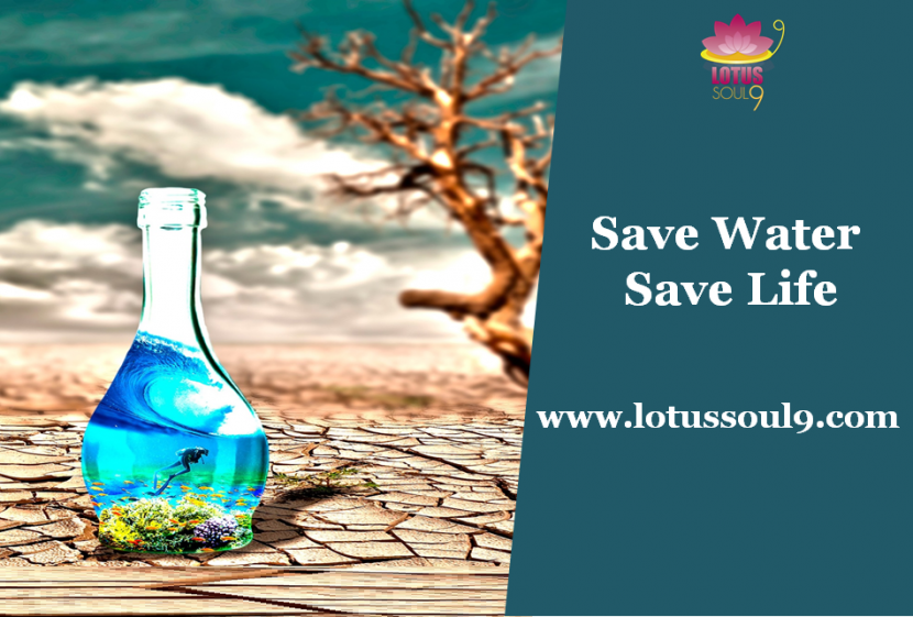 15 Tips To Save Water